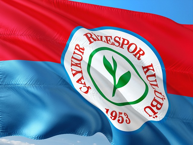 这笔交易都 这笔交易都