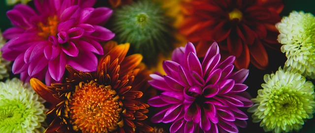 和参与度 和参与度