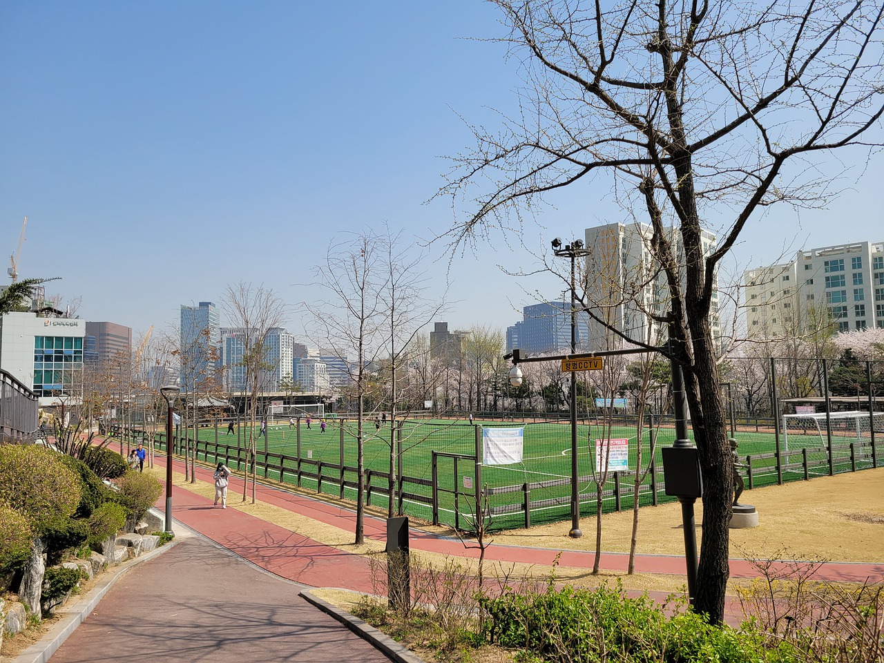 的联赛中占 的联赛中占