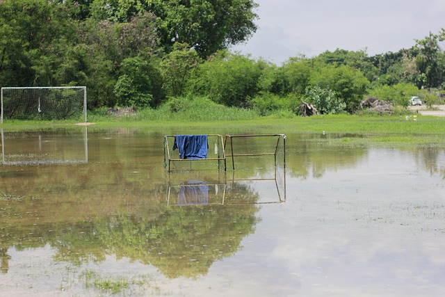 还展示了出 还展示了出