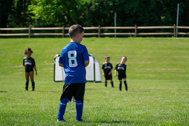 得分的表现 得分的表现